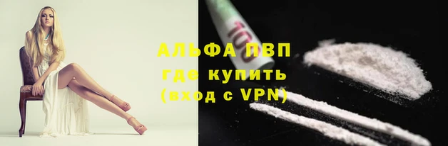 не бодяженный Аркадак