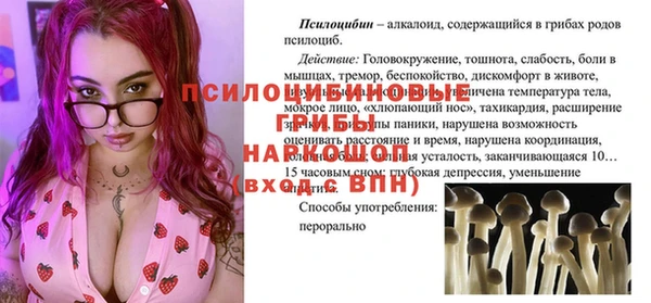 гидропоника Арсеньев