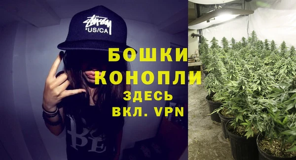 не бодяженный Аркадак
