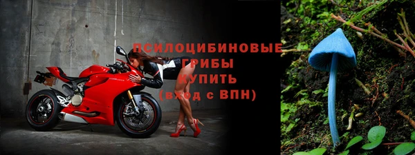 не бодяженный Аркадак