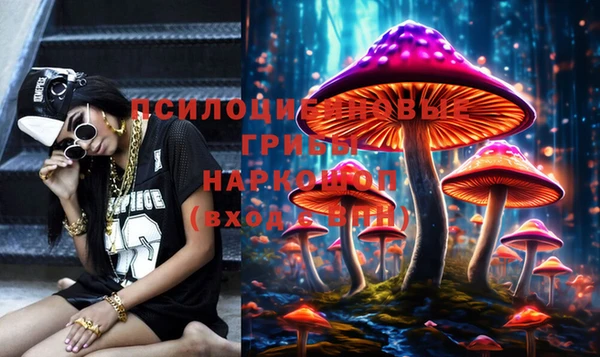 не бодяженный Аркадак