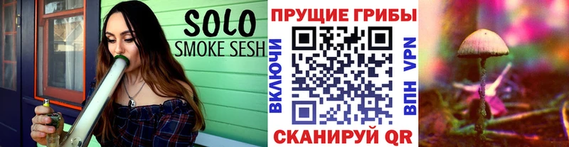 Псилоцибиновые грибы Magic Shrooms blacksprut онион Городовиковск купить закладку